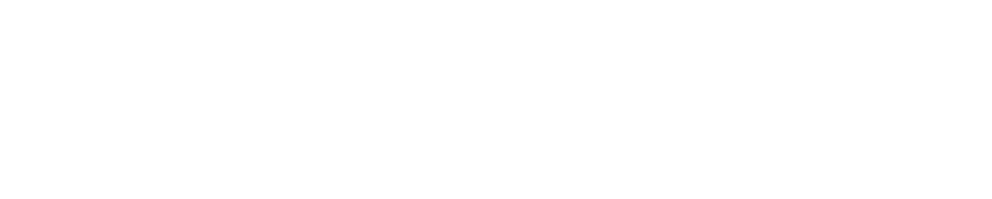Schippers IT